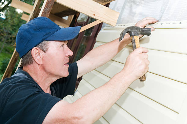 Best Vinyl Siding Installation  in Romney, WV